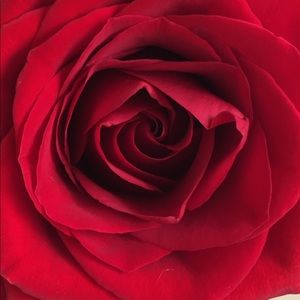 Meet your Posher, Madora